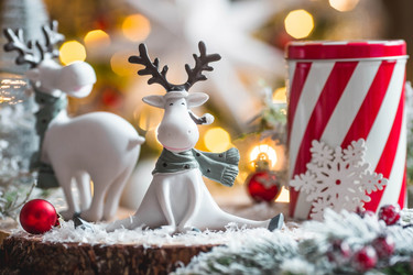 Similar image 21167690