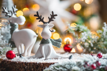 Similar image 21167692