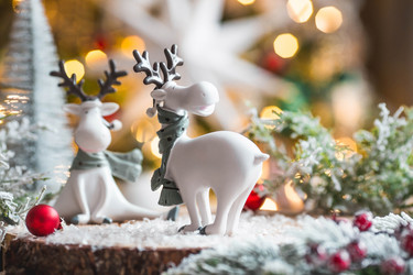 Similar image 21167693