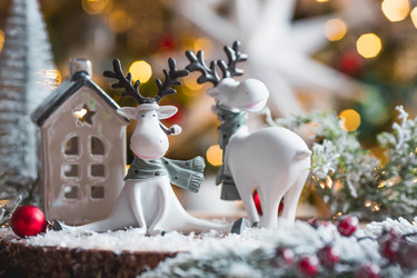 Similar image 21167694