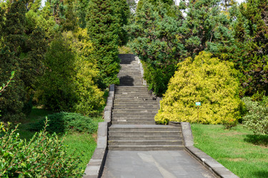 Similar image 21174042