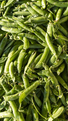 Similar image 21177719