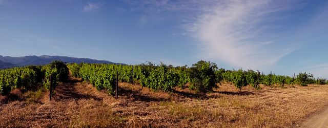 Similar image 21177971