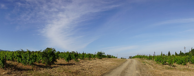 Similar image 21174262