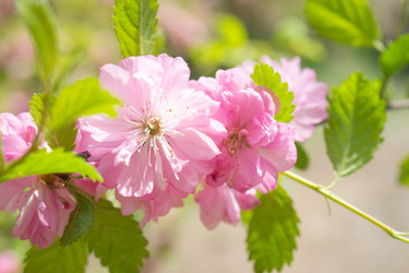 Similar image 21174267