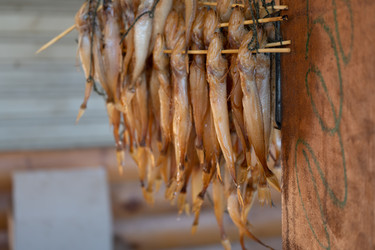 Similar image 21174269