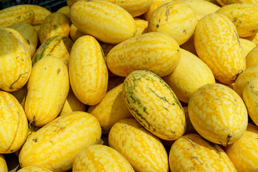 Similar image 21177976