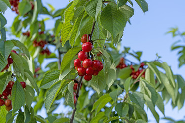 Similar image 21177977