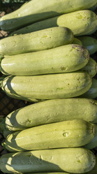 Similar image 21174276