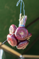 Similar image 21177978