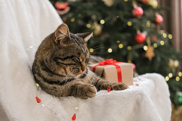 Similar image 21168750