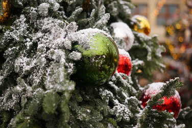 Similar image 21174869