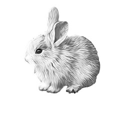 Similar image 21168477