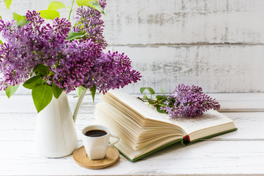 Similar image 21184960