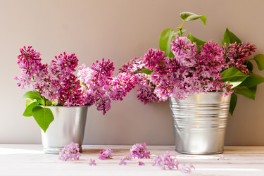 Similar image 21184962