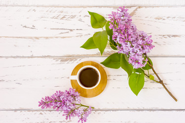 Similar image 21184967