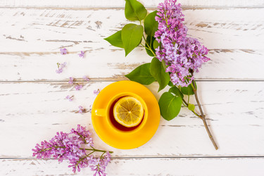 Similar image 21184968