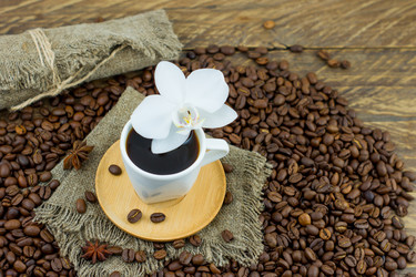 Similar image 21184969