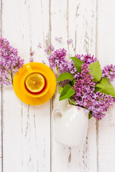 Similar image 21184971