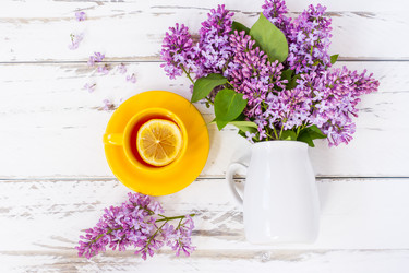 Similar image 21184972