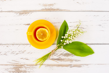 Similar image 21184975