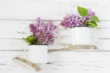 Similar image 21194381