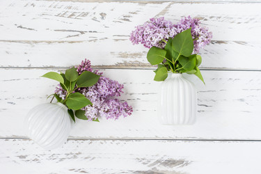 Similar image 21194382