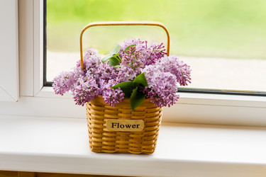 Similar image 21194385