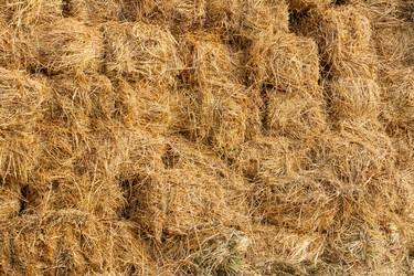 Similar image 21172671