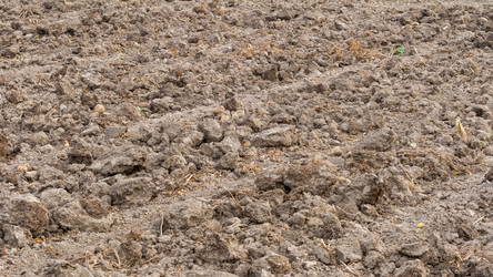 Similar image 21172672