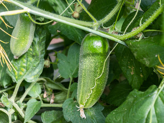 Similar image 21172674