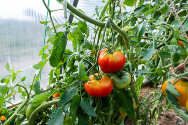 Similar image 21172675