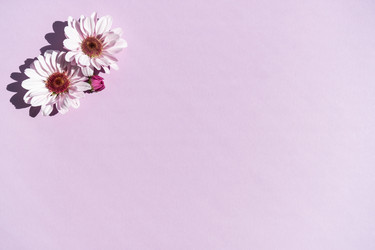 Similar image 21172678