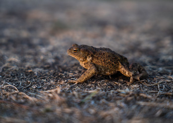 Similar image 21186447