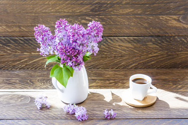 Similar image 21184243