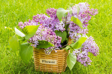 Similar image 21184244