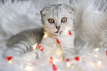 Similar image 21168764