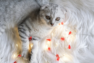 Similar image 21168766