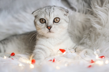 Similar image 21168767