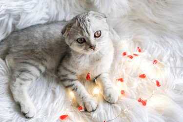 Similar image 21168768