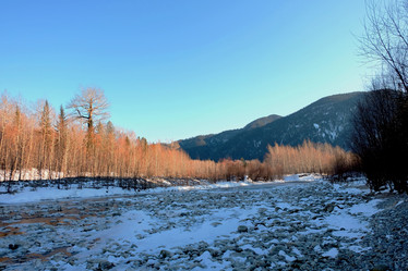 Similar image 21167319