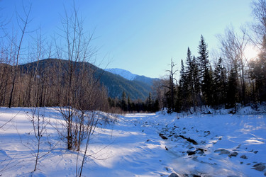 Similar image 21167321