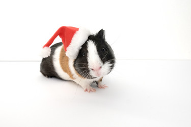 Similar image 21168490