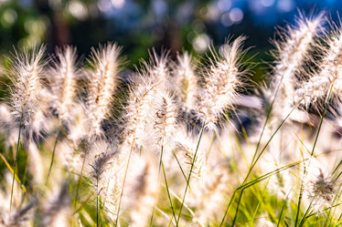 Similar image 21168510