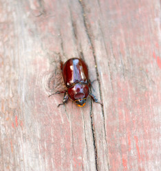 Similar image 21178808