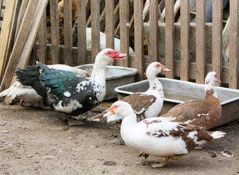 Similar image 21168128