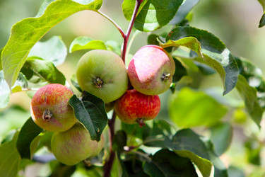 Similar image 21178810