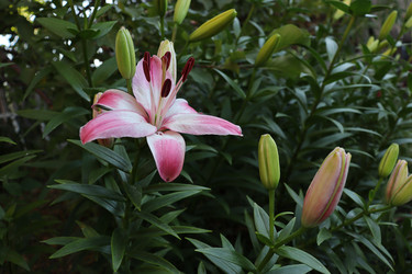 Similar image 21168162