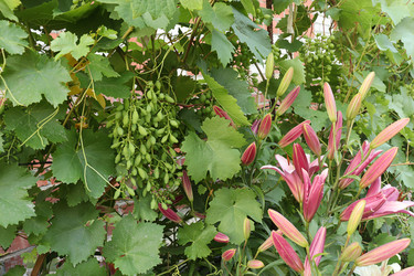 Similar image 21168165