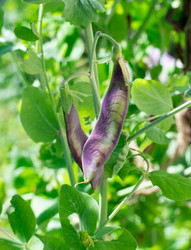 Similar image 21196605